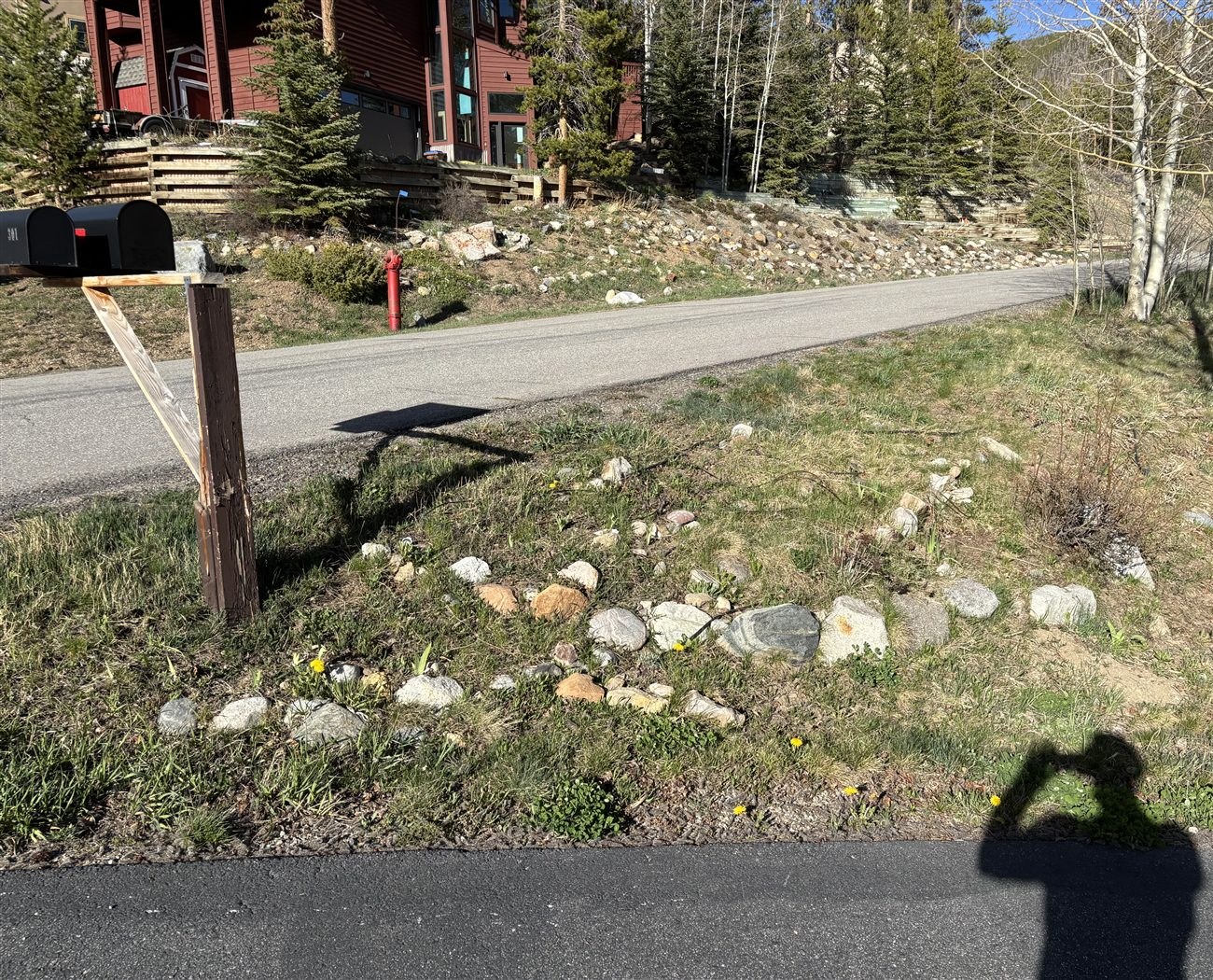 Before landscaping work — Summit County, Colorado