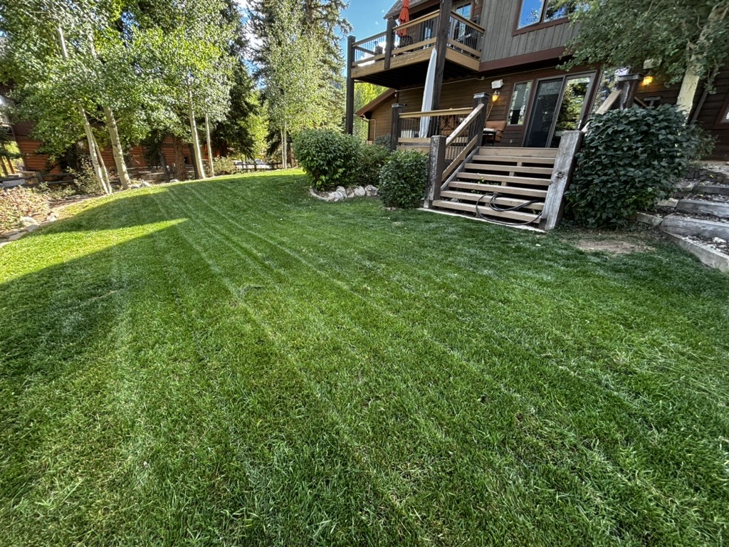 Hardscape mulch and boulder border in Colorado
