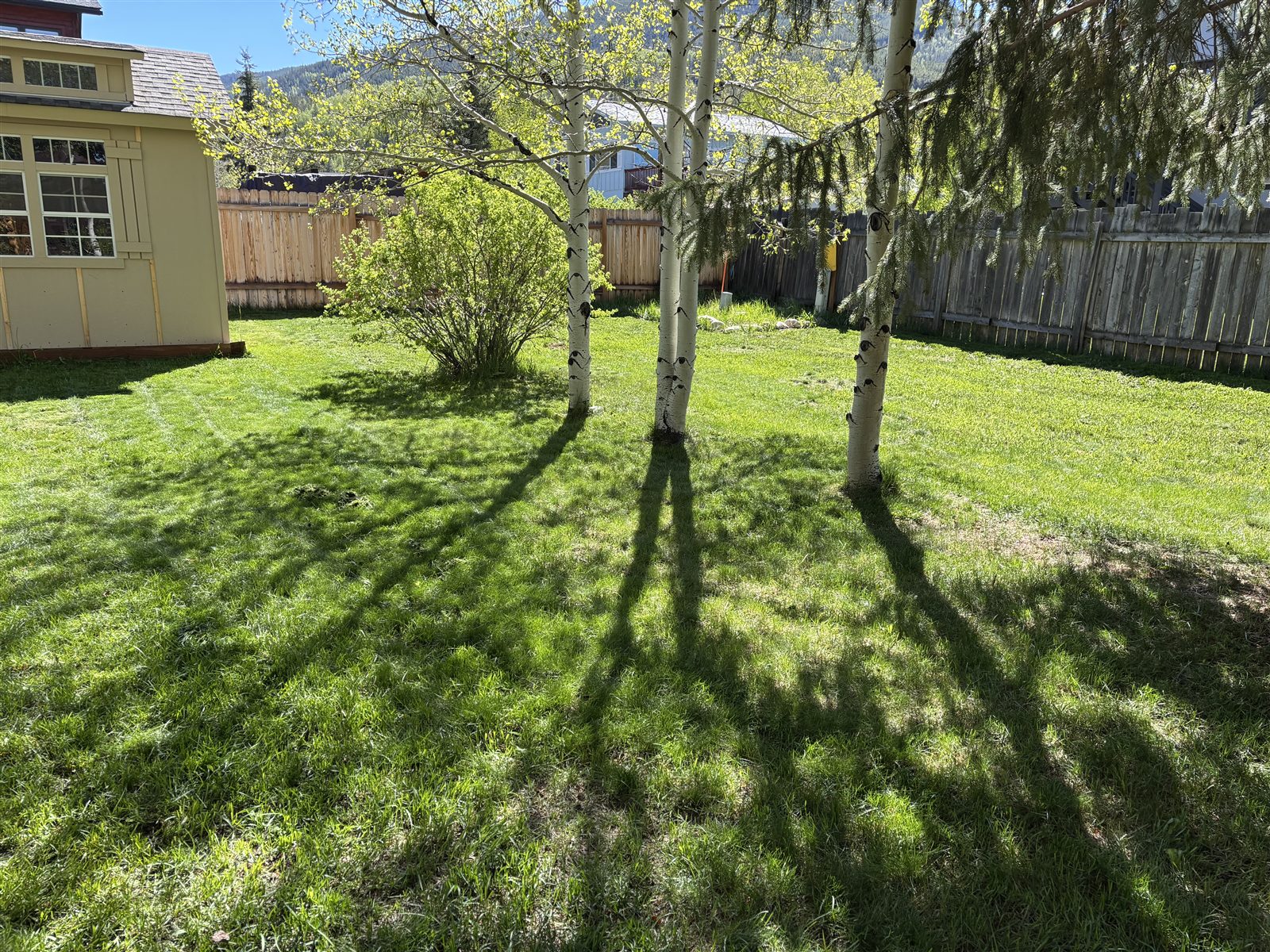 Lawn care and maintenance in Summit County, Colorado