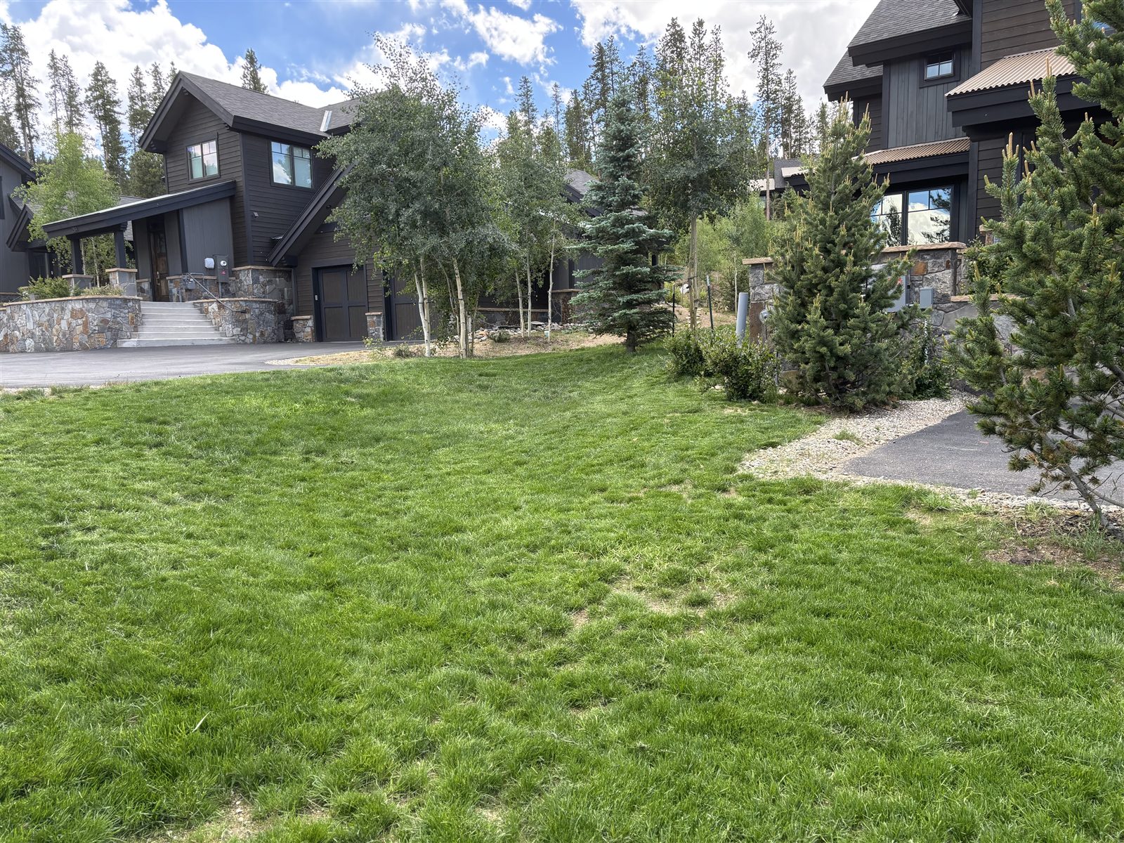 Lawn care and maintenance in Summit County, Colorado