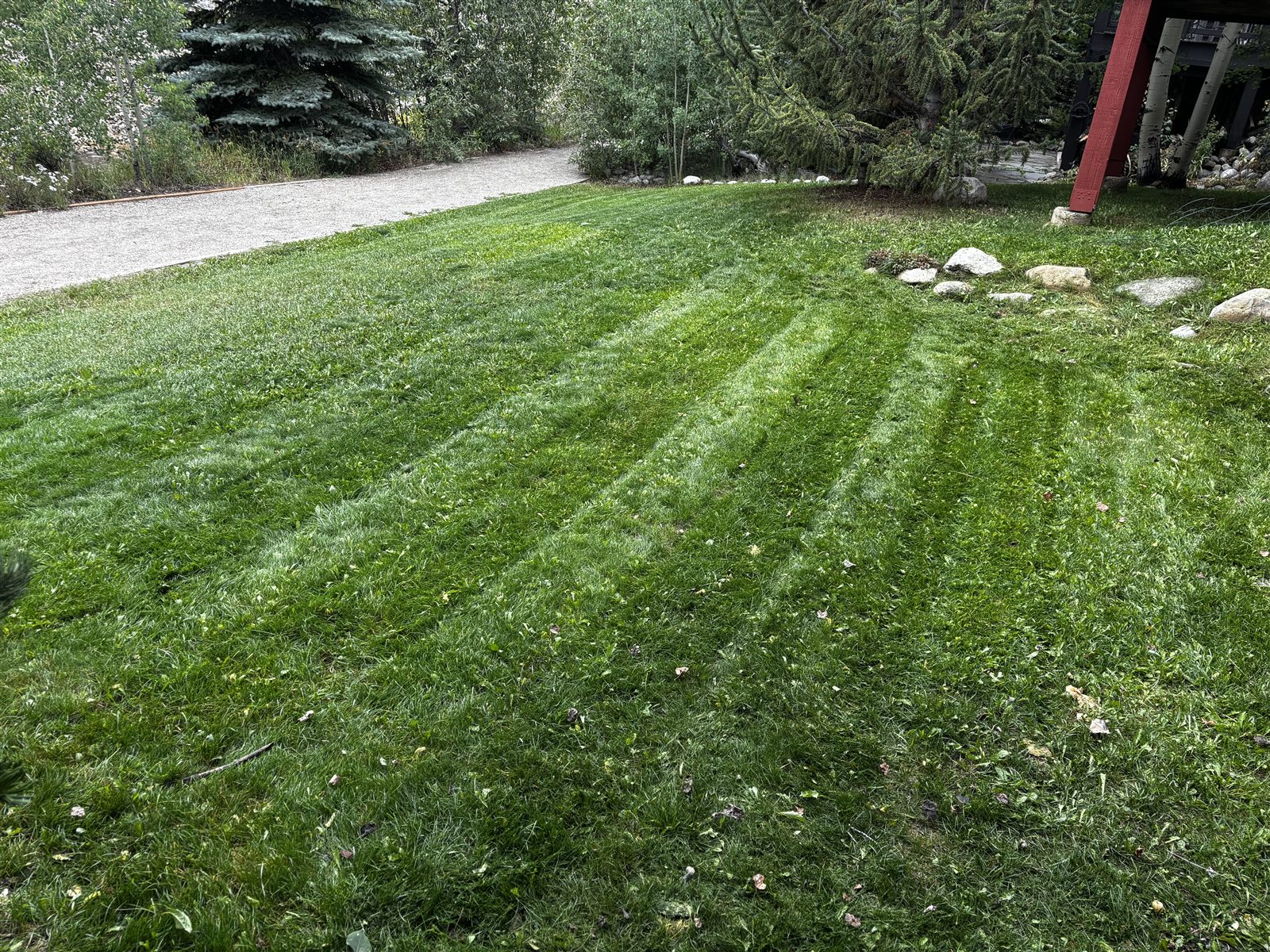 Lawn care and maintenance in Summit County, Colorado