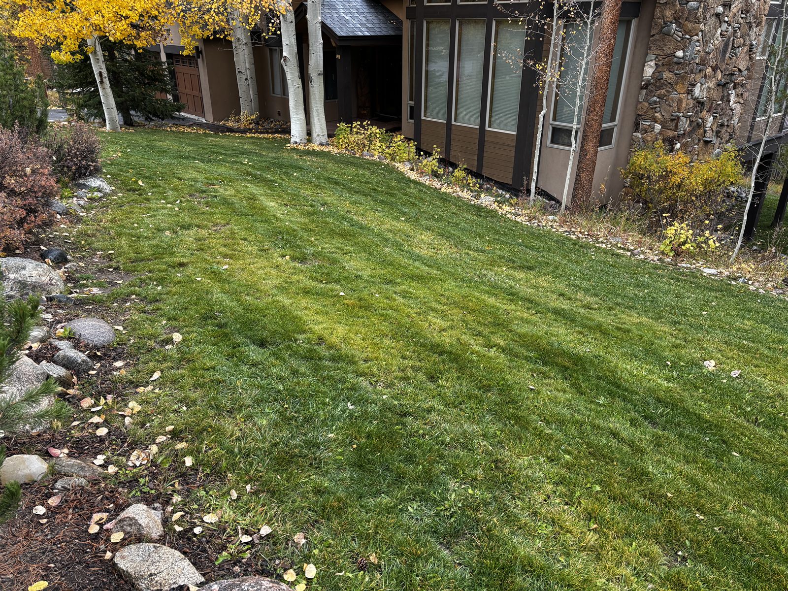 Lawn care and maintenance in Summit County, Colorado